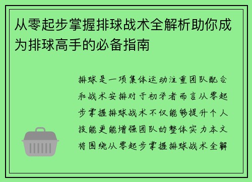 从零起步掌握排球战术全解析助你成为排球高手的必备指南